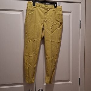 Light Green Ankle Cropped Pants